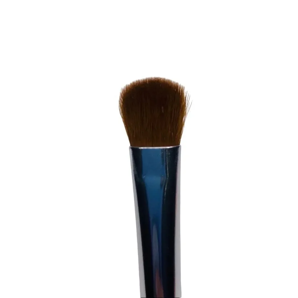 3/$20💘 LA Splash Eyeshadow Brush Set